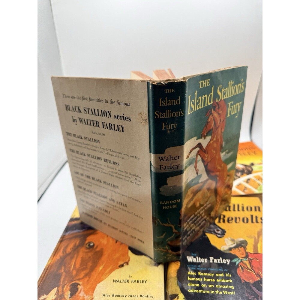 8 : 40s 50s Walter Farley The Black Stallion Novel Book Set Sulky Filly Satan + - Picture 16 of 16